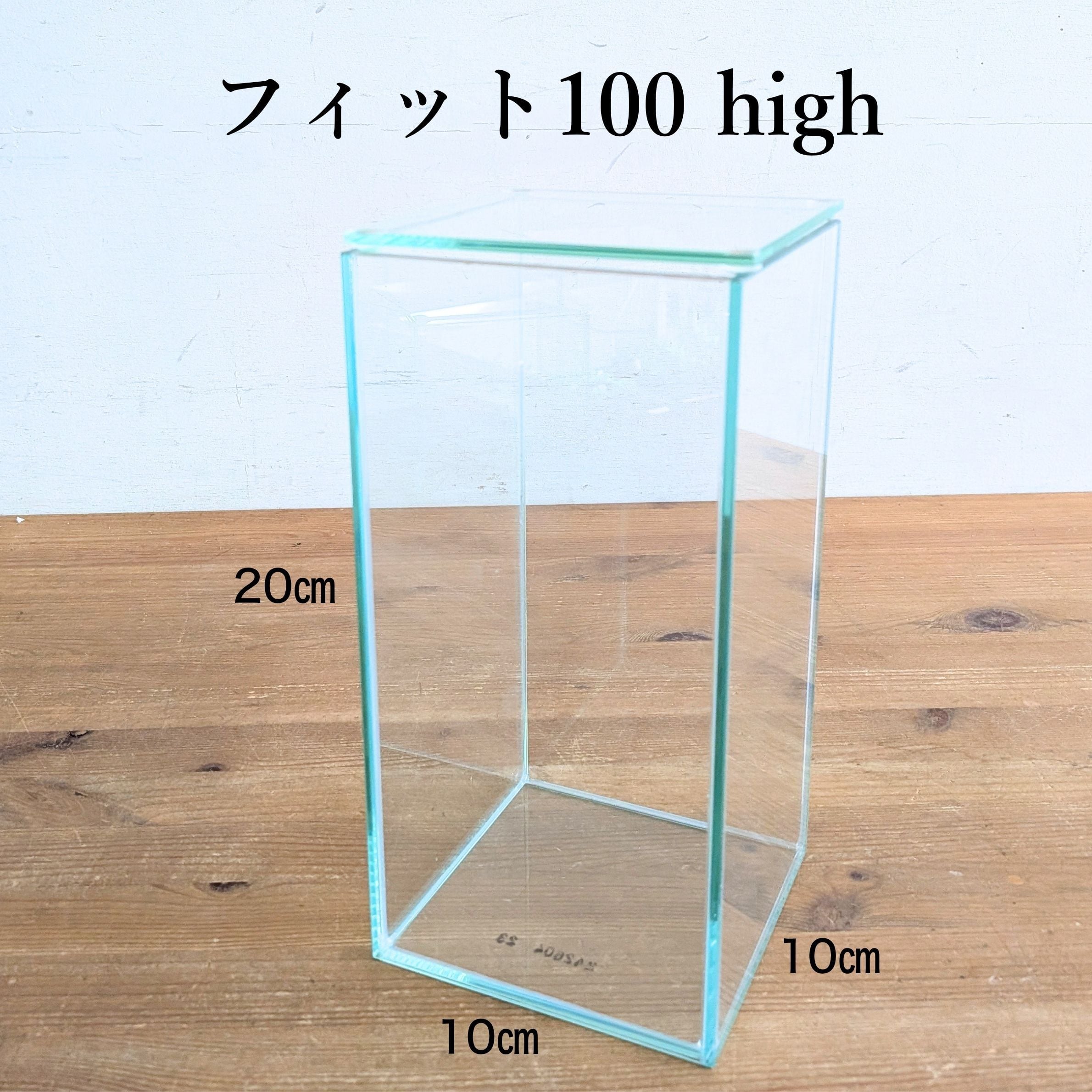ガラス容器】フィット100×100High（10×10×高さ20㎝）◇高さのあるコケ