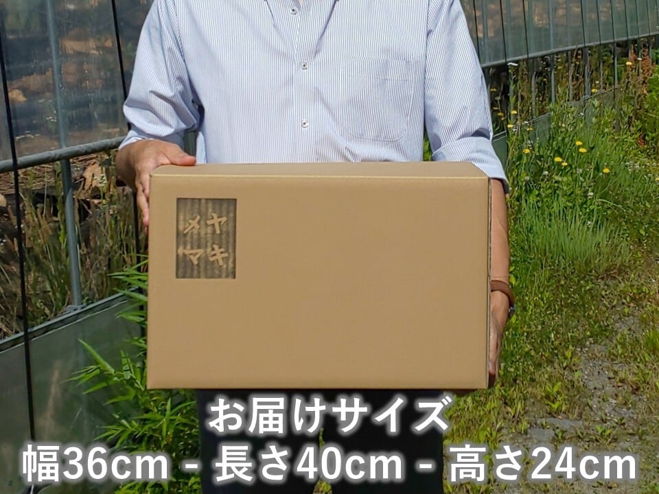 ミニマキ】広葉樹・針葉樹薪セット 合計約8kg ソロキャンプ・焚き火用
