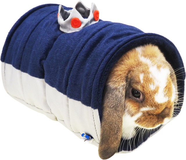 【小動物】王様のトンネル　ブルー