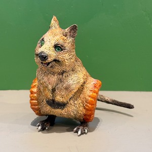 【髙橋穂足】「ヤックァワラビー」