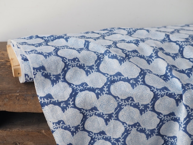 block print fabric d45