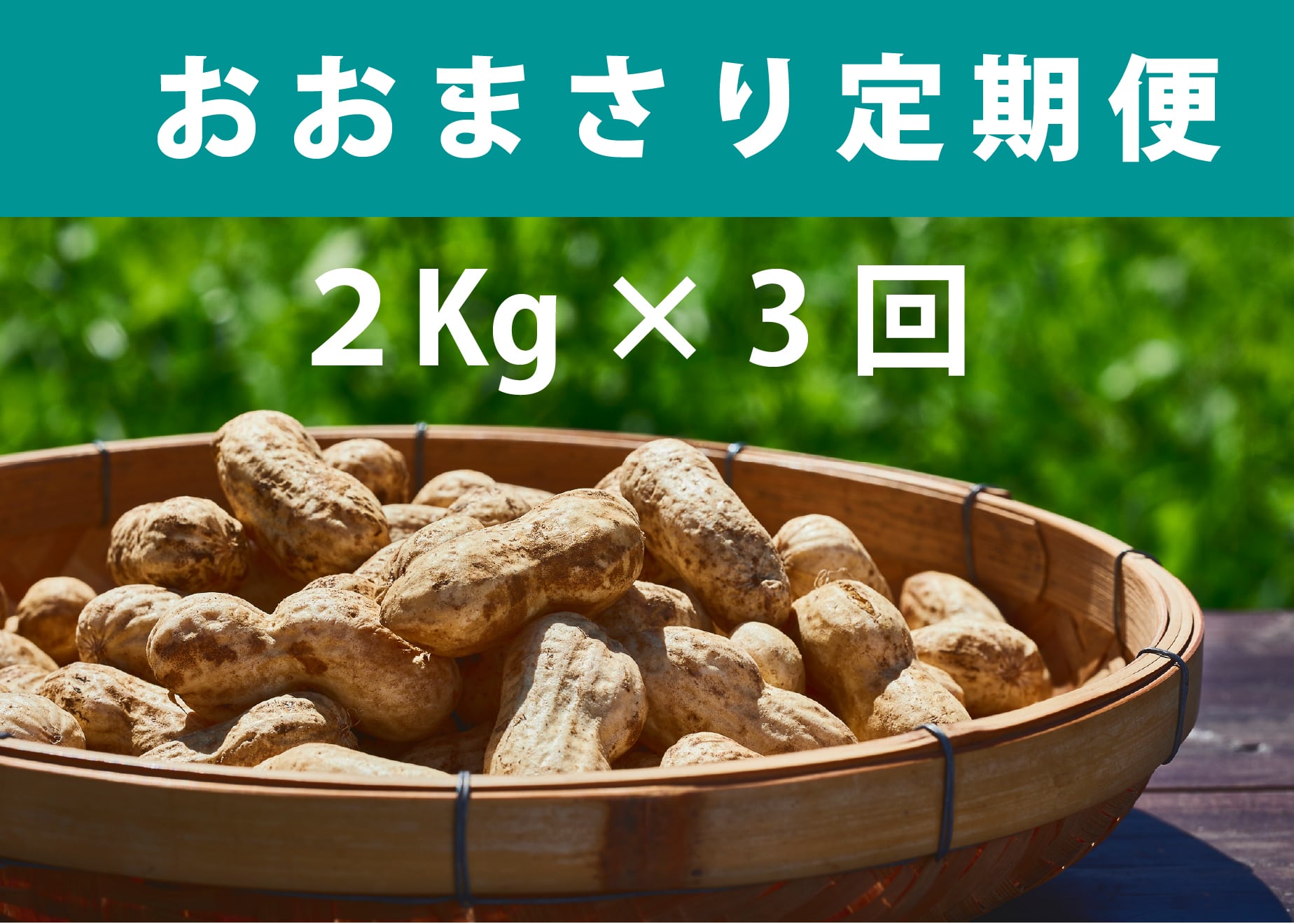 おおまさり(クール便発送) | あんばい農園オンラインショップ