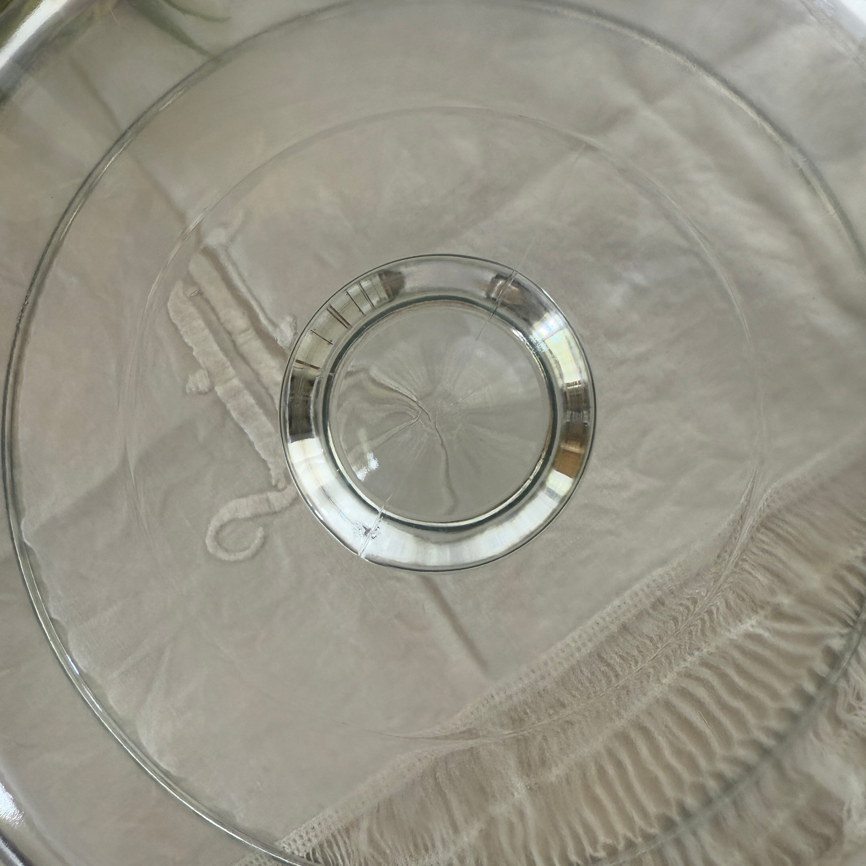 French Vintage Glass Dome/フランスヴィンテージのドーム型カバー