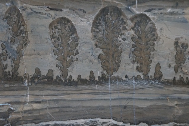 コタム・マーブル　Bristol Picture Stone 4