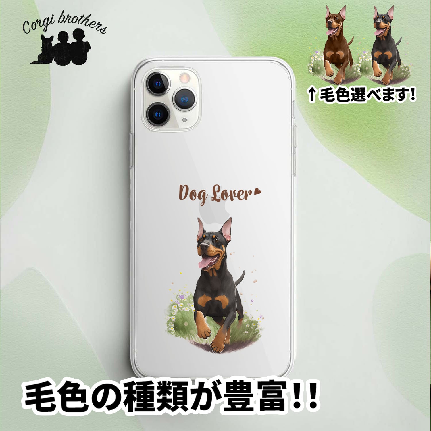 ドーベルマン | Corgibrothers
