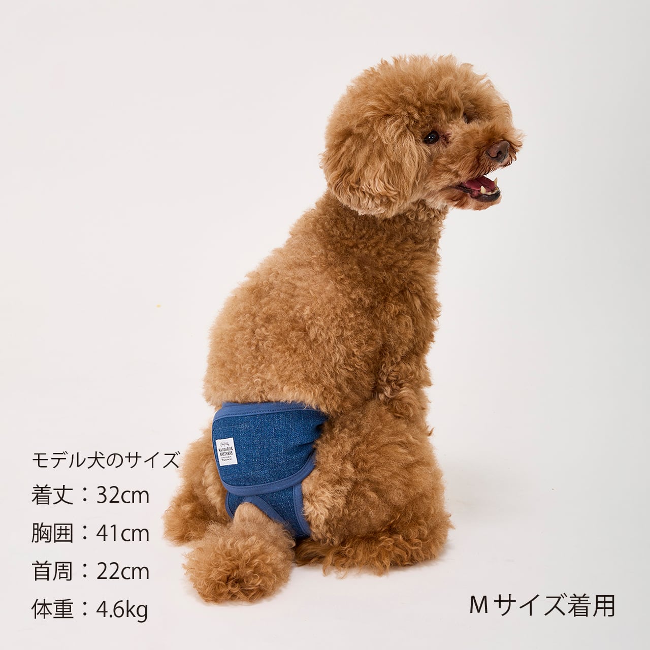 MANNER PANTS（XL.XXL）マナーパンツ | MANDARINE BROTHERS マンダリン