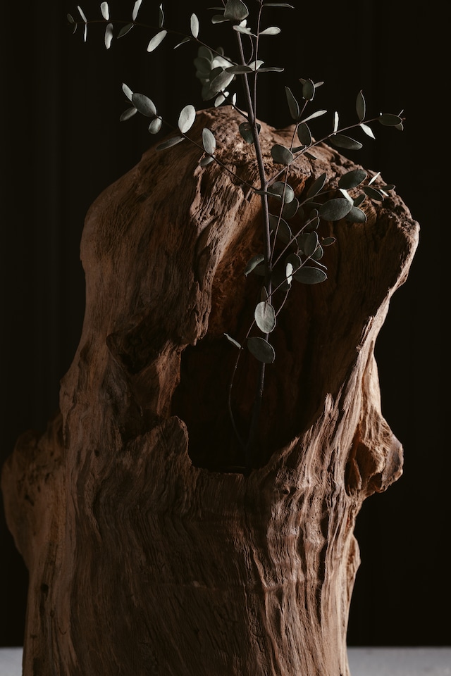 楠-kusunoki- Standing Form
