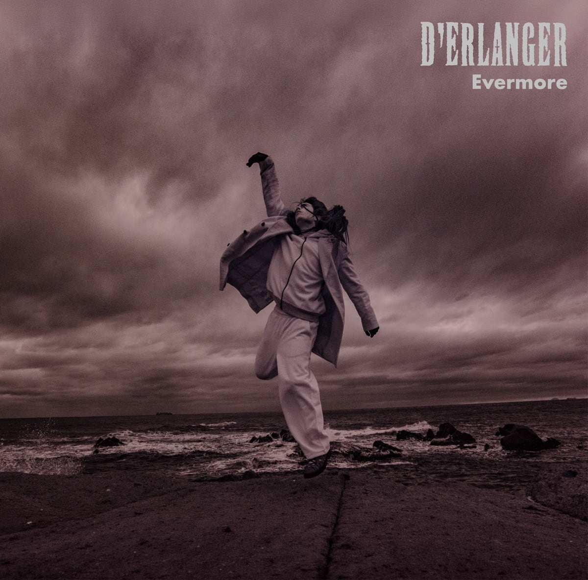 レア】 a Fabulous Thing in Rose D'ERLANGER D'ERLANGER｜New ALBUM