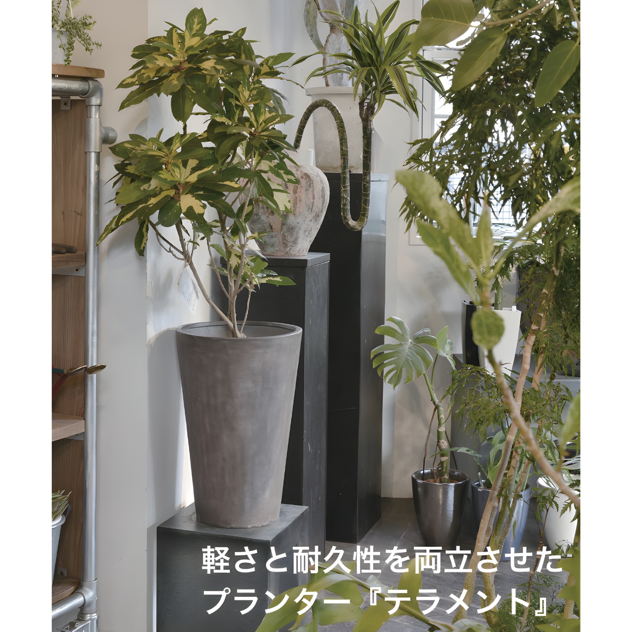 TERRAMENT Tall Square 40