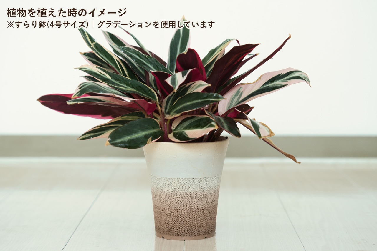 すらり鉢(4号サイズ)｜ミントブルー