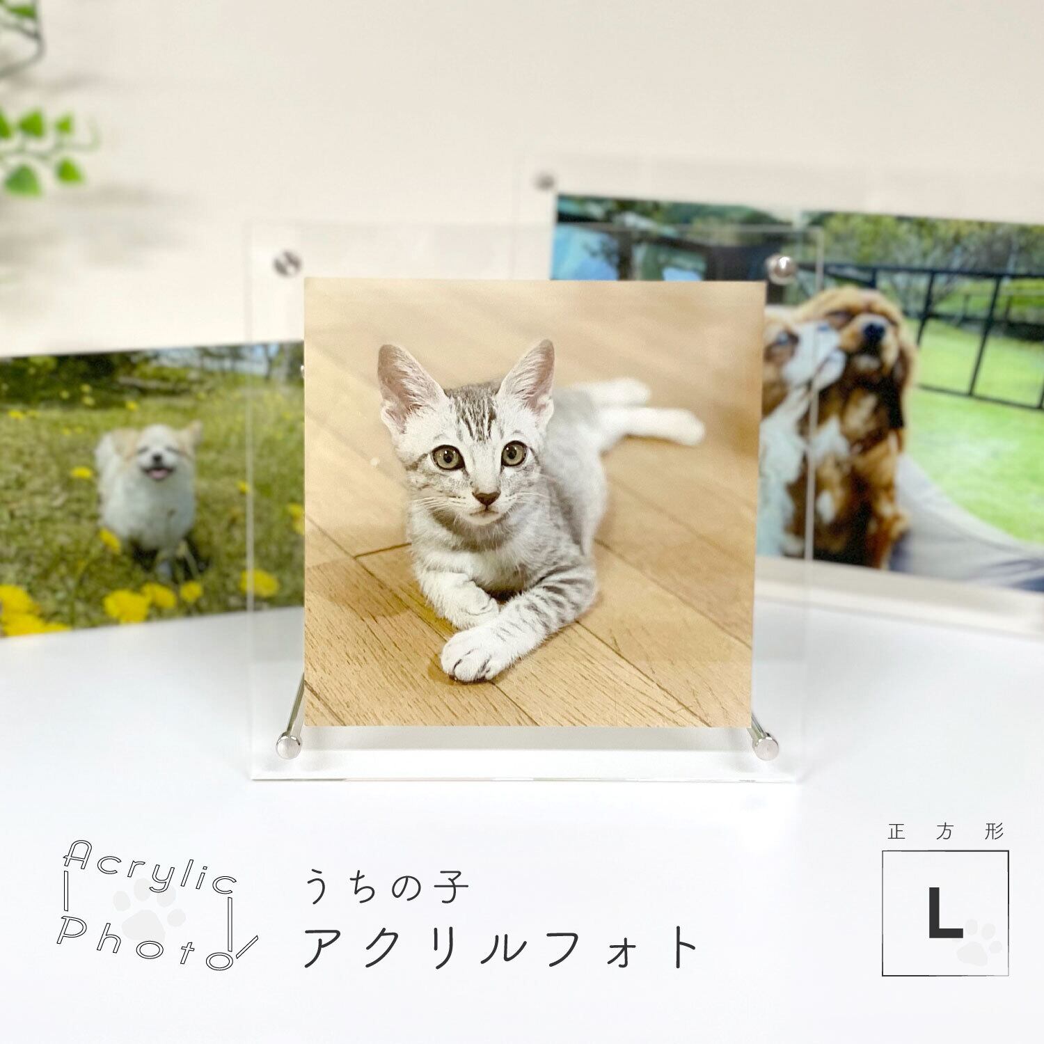 アクリルフォト 正方形 Lサイズ 210×210mm 写真 プリント