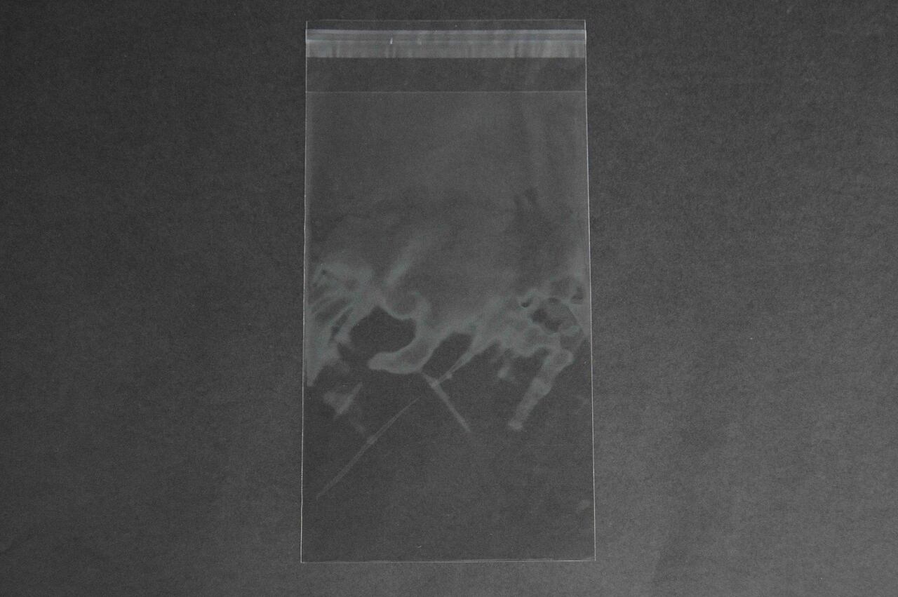 雑貨小分け包装・部品、資料整理(OPP袋 OPP袋 雑貨袋 テープ付き)横150×縦250+フタ40mm 30μ(0.03mm)【1,000枚】