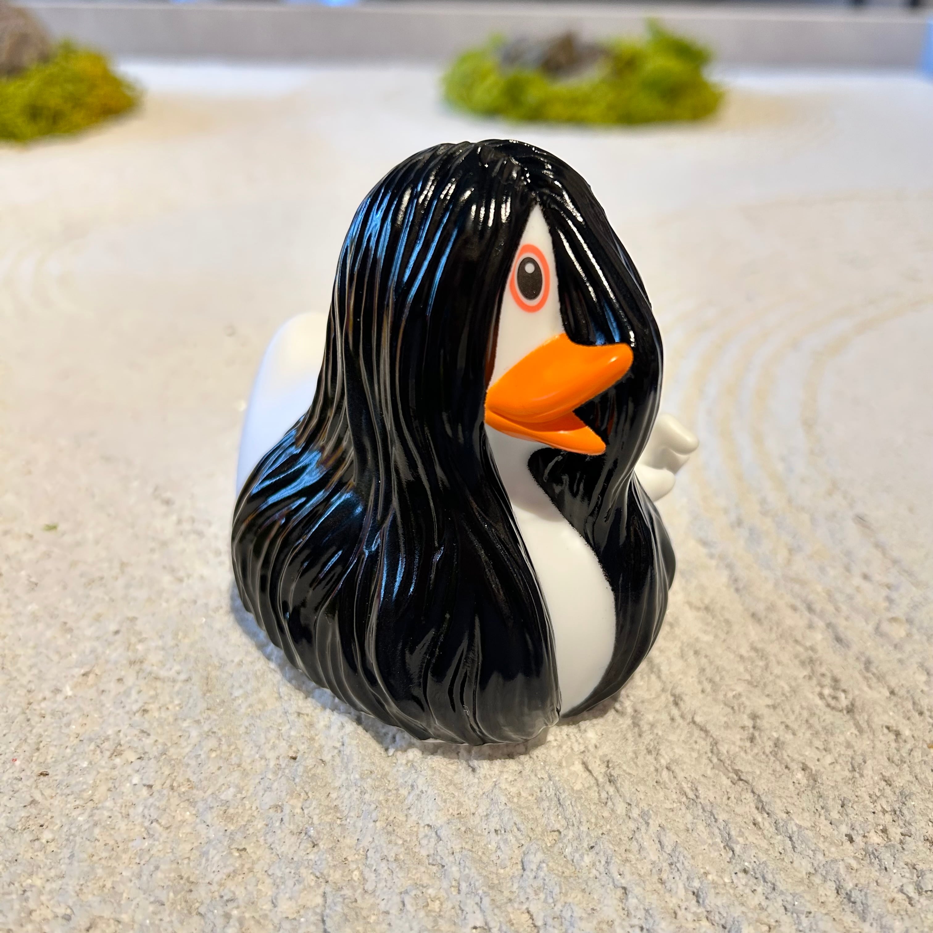 Mystic duck | Ducks