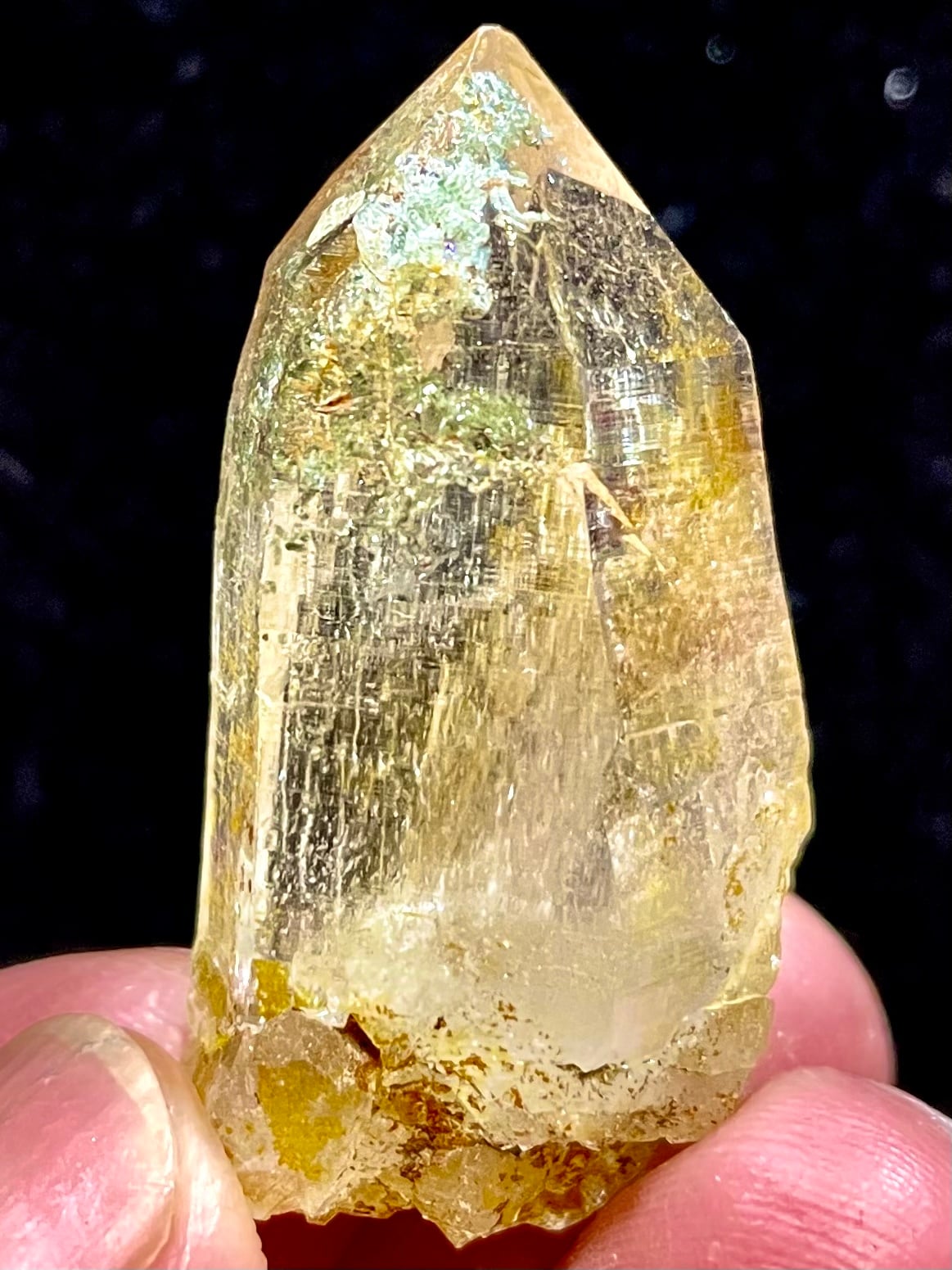 22) New!パキスタン・ヒマラヤ「スカルドゥ」ゴールデンヒーラー