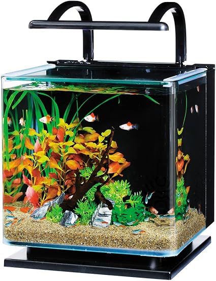 4F オールガラス水槽 ガラス水槽 アクアリウム 水槽 熱帯魚 メダカ 金魚 テトラ (Tetra) ガラス 水槽 オールグラスアクアリウム GA-420F 水槽