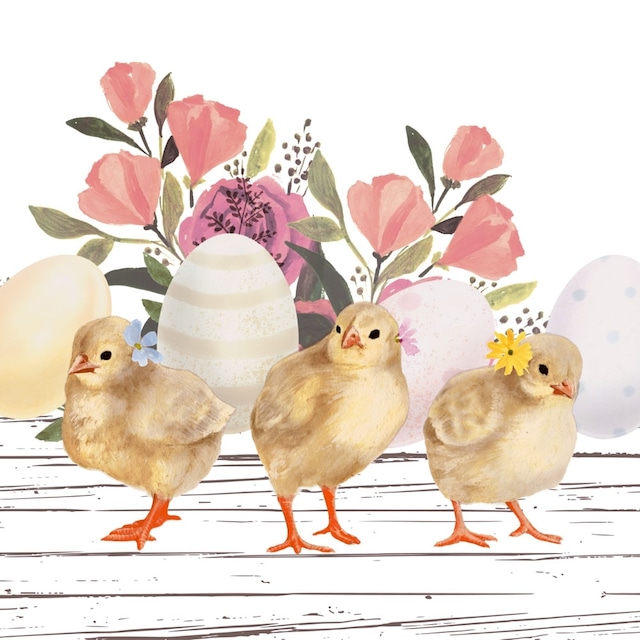 【Nouveau】バラ売り1枚 ランチサイズ ペーパーナプキン Chick Parade ホワイト