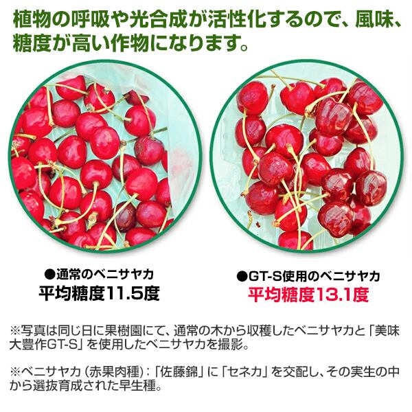 植物活力液 美味大豊作GT-S 1リットル 作物が早く大きく育ち収穫量も