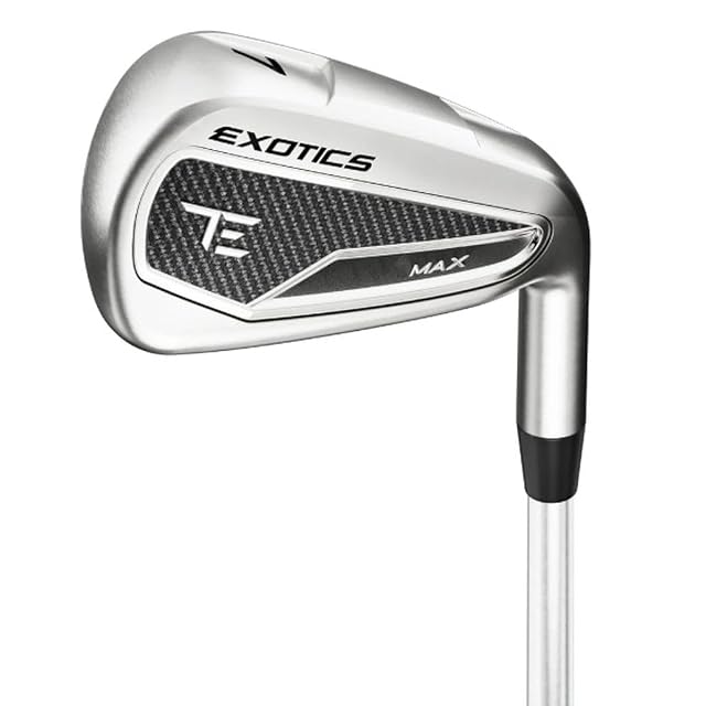 ツーレングスモデル・アクシスゴルフ Z-4CBI IRON(#6~PW/5本組)NS850