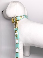 Collar&Leash(Ivy)