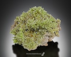 パイロモルファイト【Pyromorphite】中国産