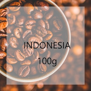 インドネシア　100g