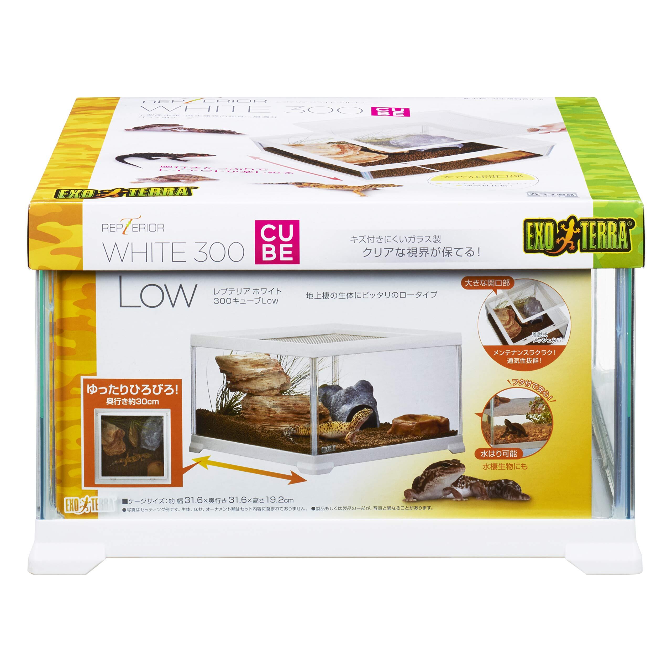 大型ガラス　爬虫類飼育ケージ Amazon | 爬虫類 ケージ グラステラリウム 飼育ケース 大 昆虫