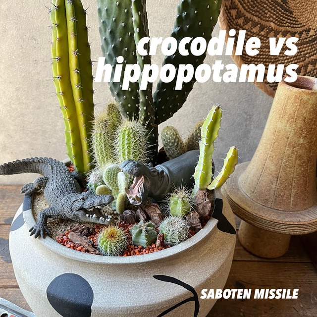 Crocodile VS Hippopotamus