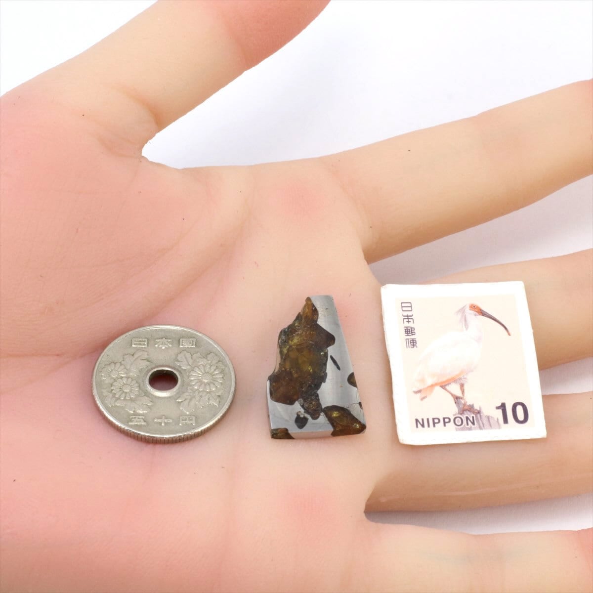 イミラック 隕石 2.5g パラサイト 石鉄隕石 標本 Imilac M2407 | 隕石