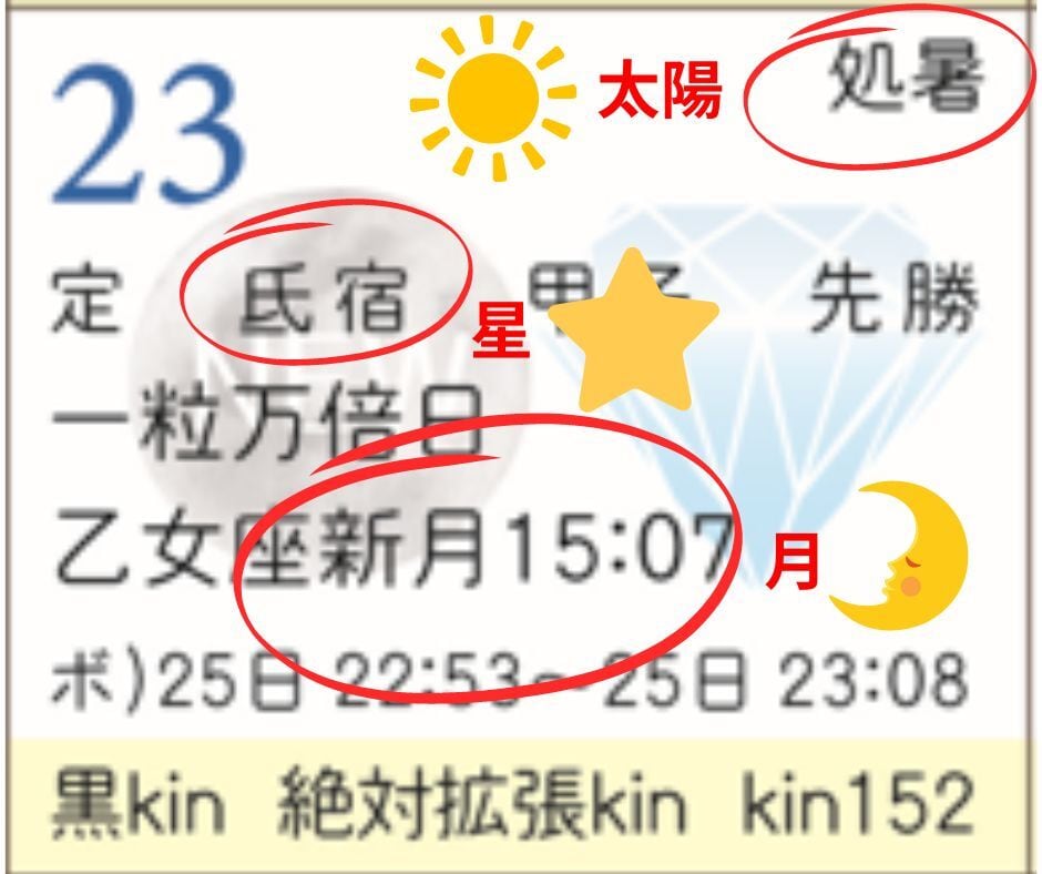 スターシードカレンダー2025】宇宙リズムと連動/シンクロ起こる/体内