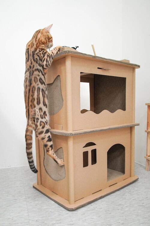 Petique ペティーク コンドミニアム キャットハウス キャットタワー 爪