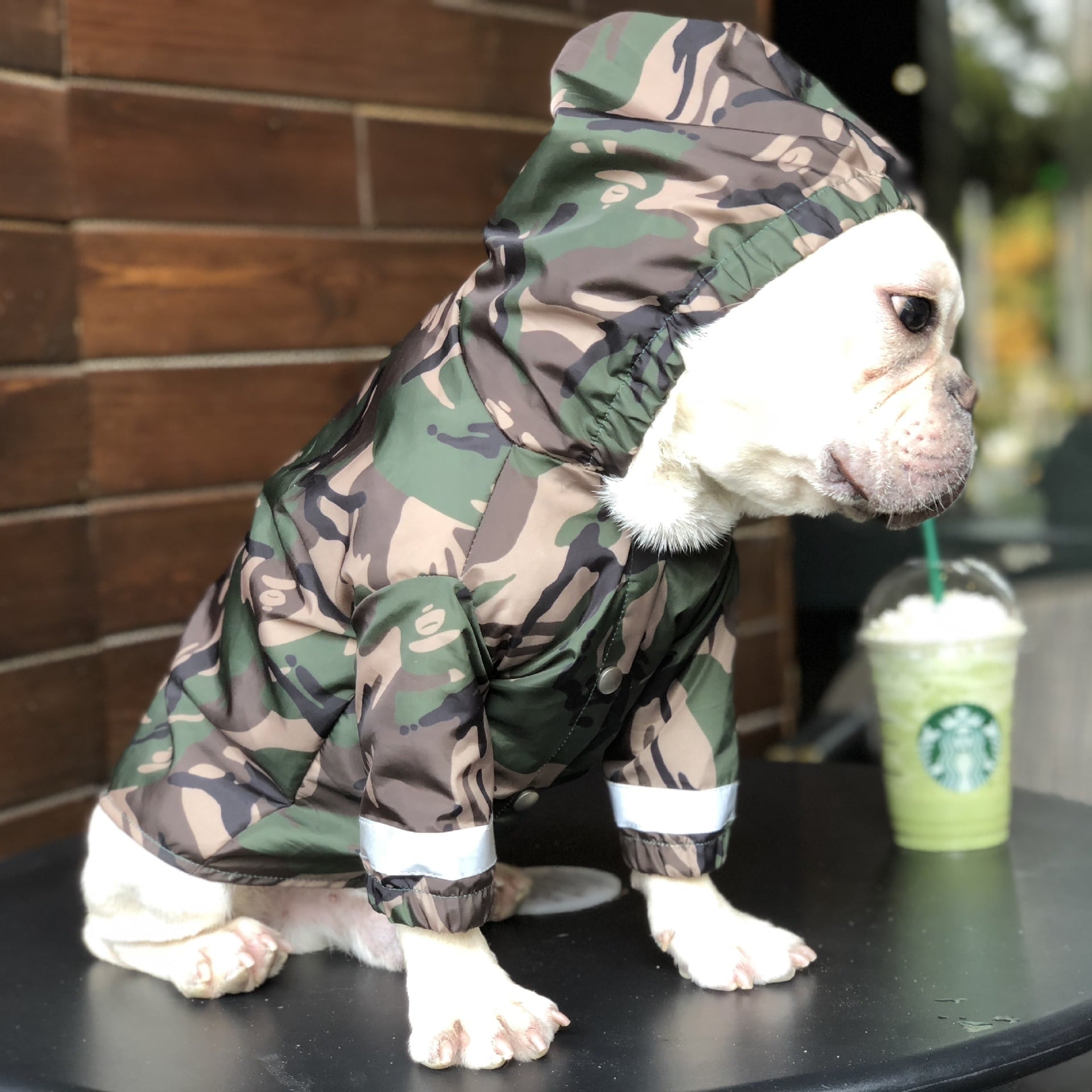 犬服 レインコート 迷彩柄 フレンチブルドッグ 梅雨対策 ウインド