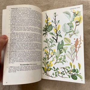 スウェーデンの植物図鑑