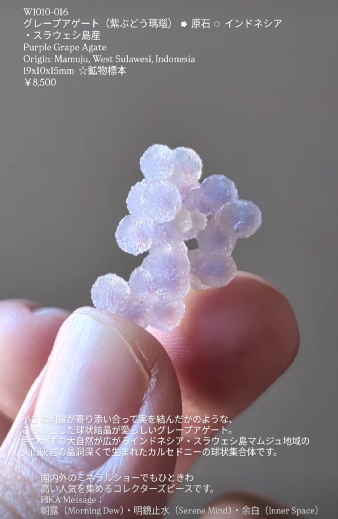 ⭔ お客様専用ページ ✦ nukopunch_xp