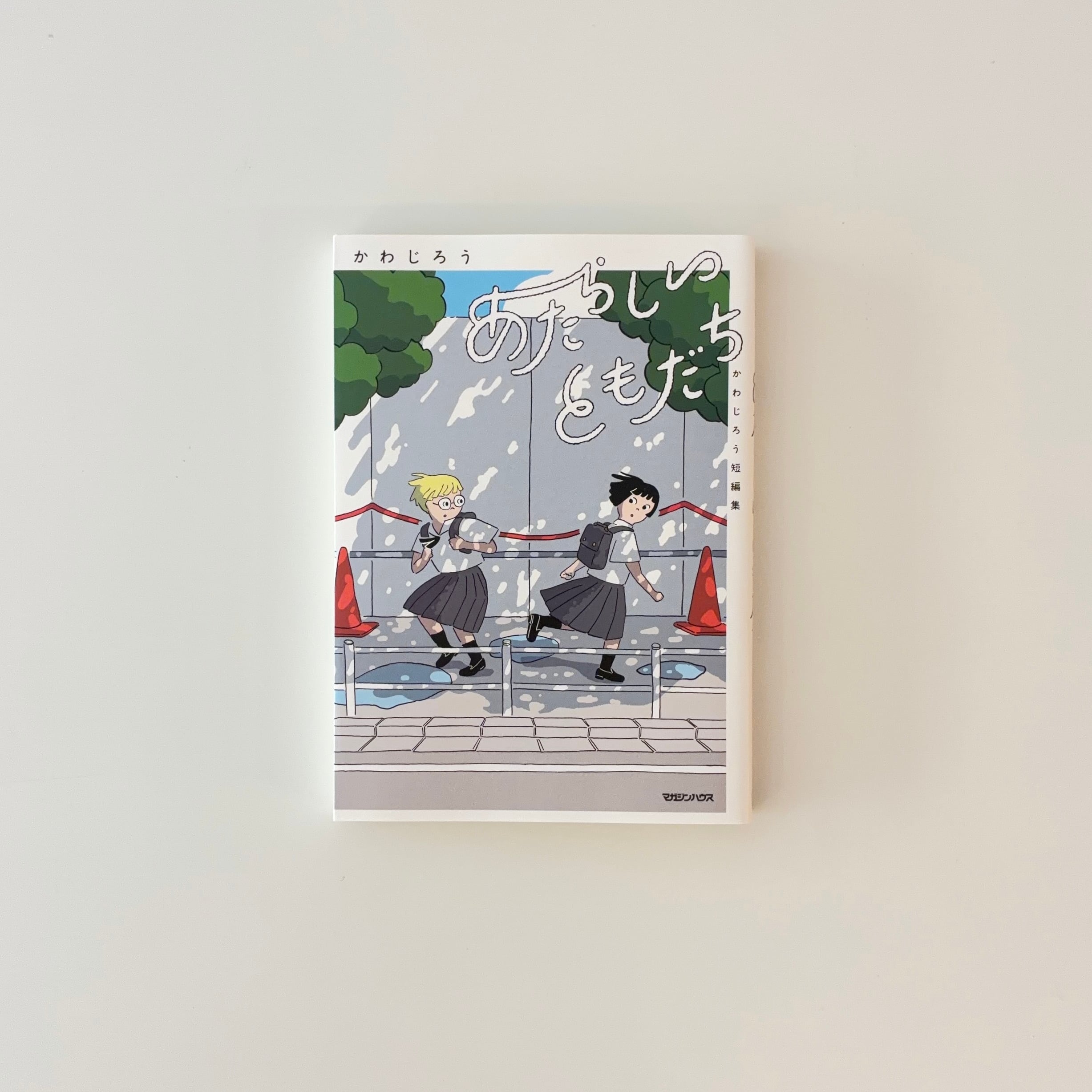 鬼面石／一刀両断｜つげ義春 | 本の栞
