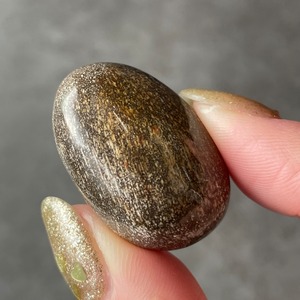 Petrified Wood ペトリファイドウッド|Tumble タンブル|天然石　パワーストーン　鉱物　gem stone