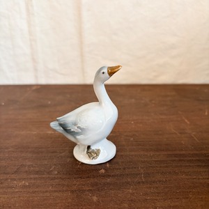 空を眺める鳥