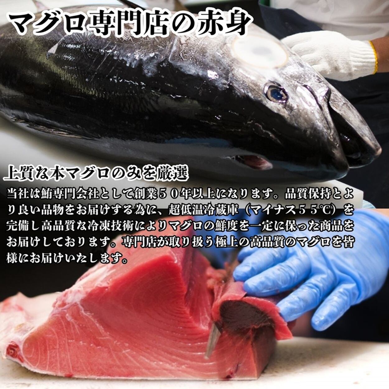 本マグロ マグロ赤身 刺身 約200g (2～3人前) 本まぐろ 赤身 生食用