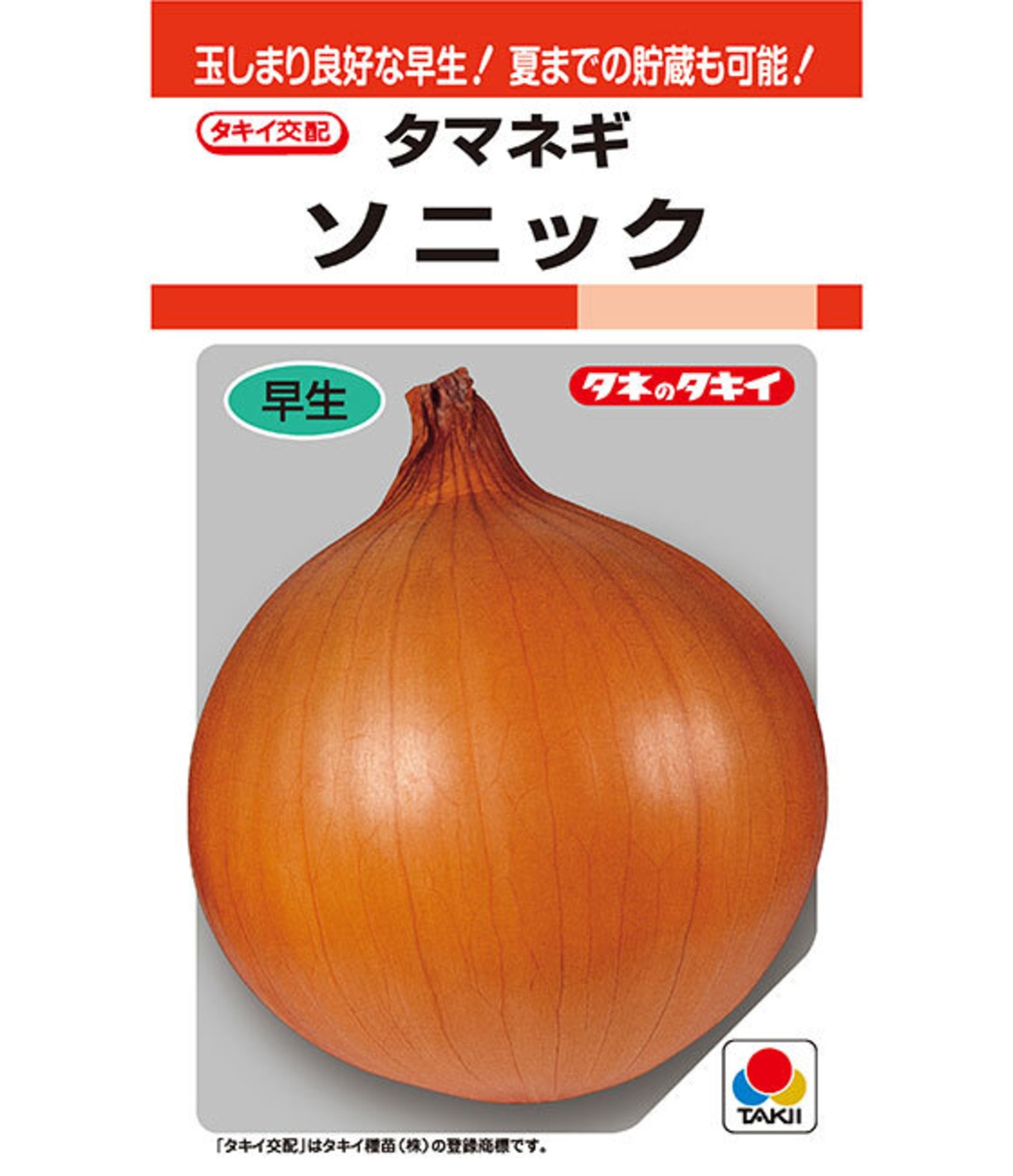 タマネギ「ソニック」（２DL）・画像2
