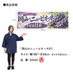 【受注生産】横幕 防炎 ポンジ 岡山のニューピオーネ01 180×60cm 52465
