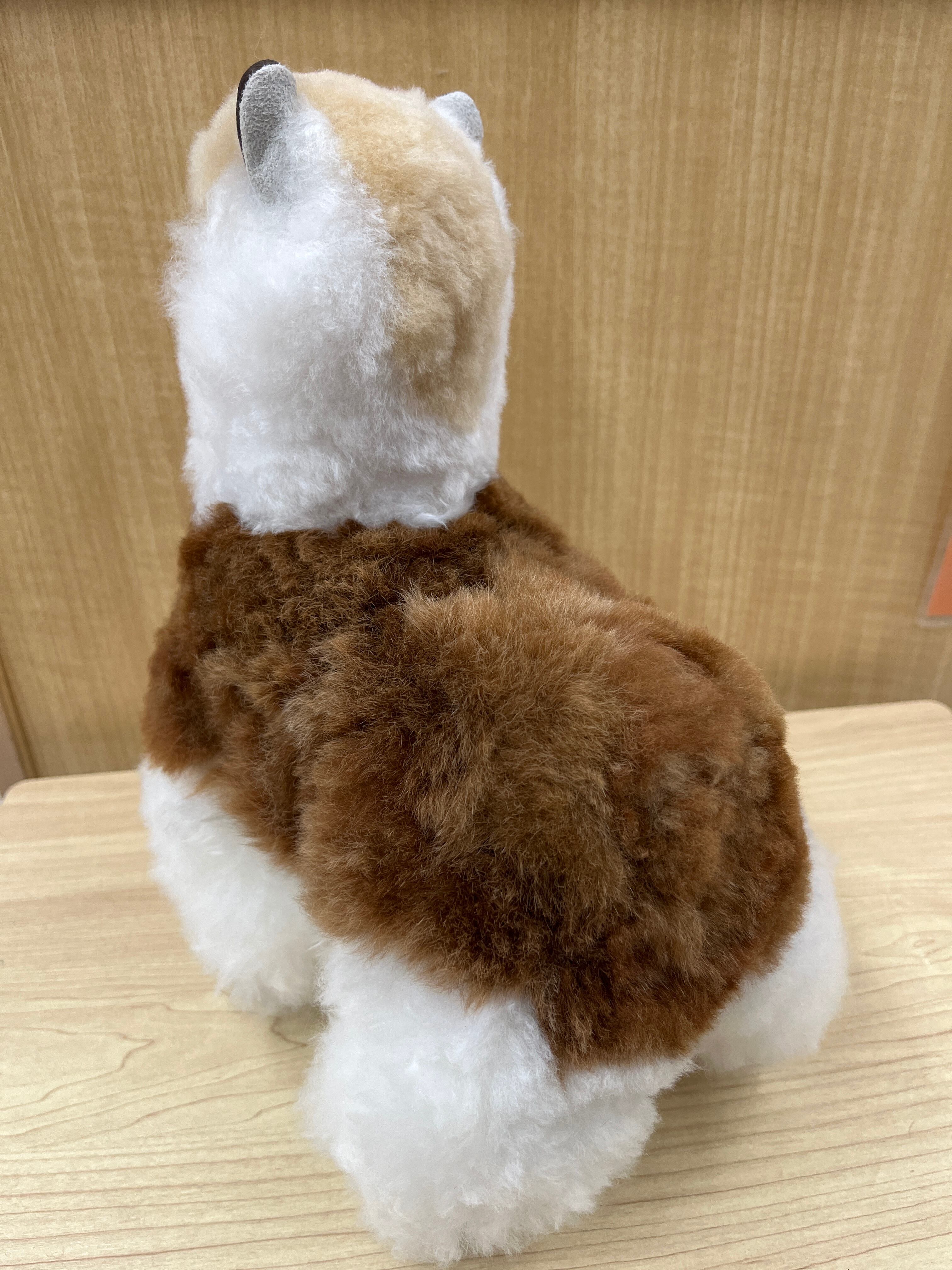 ベビーアルパカ人形 大 ミックス☆ | ALPACA WORLD