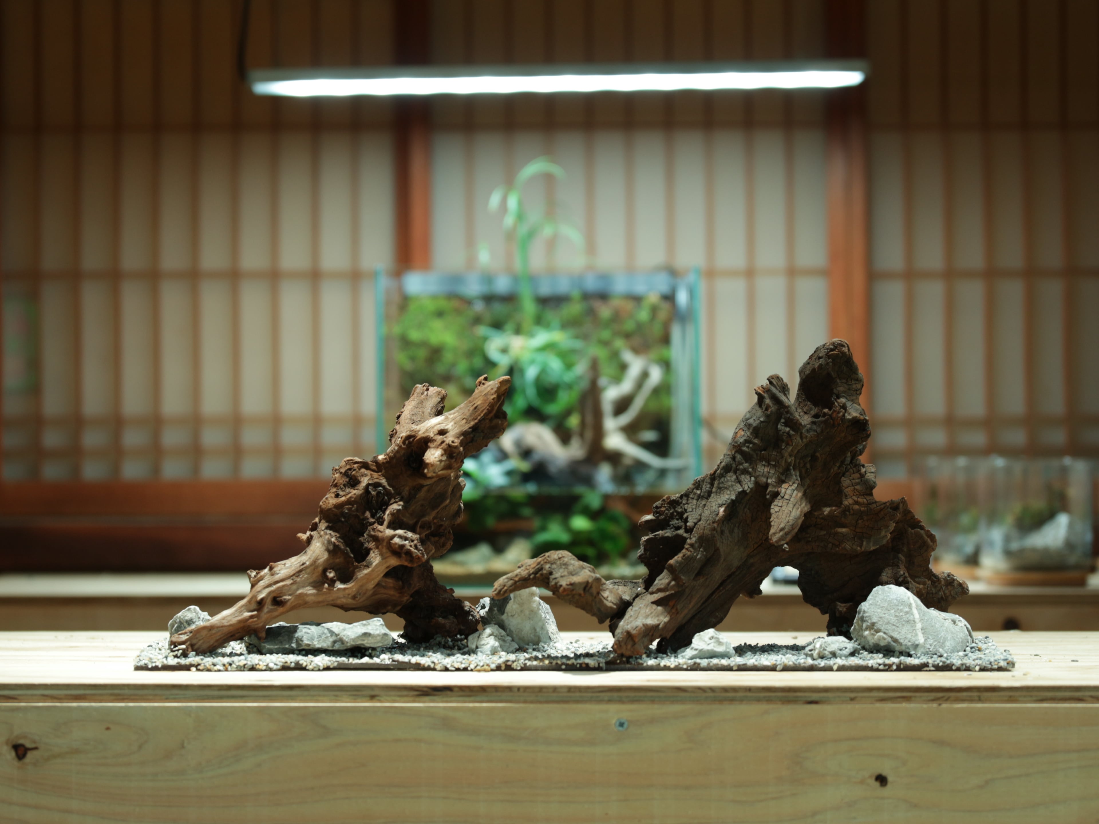 水槽屋oAsis
