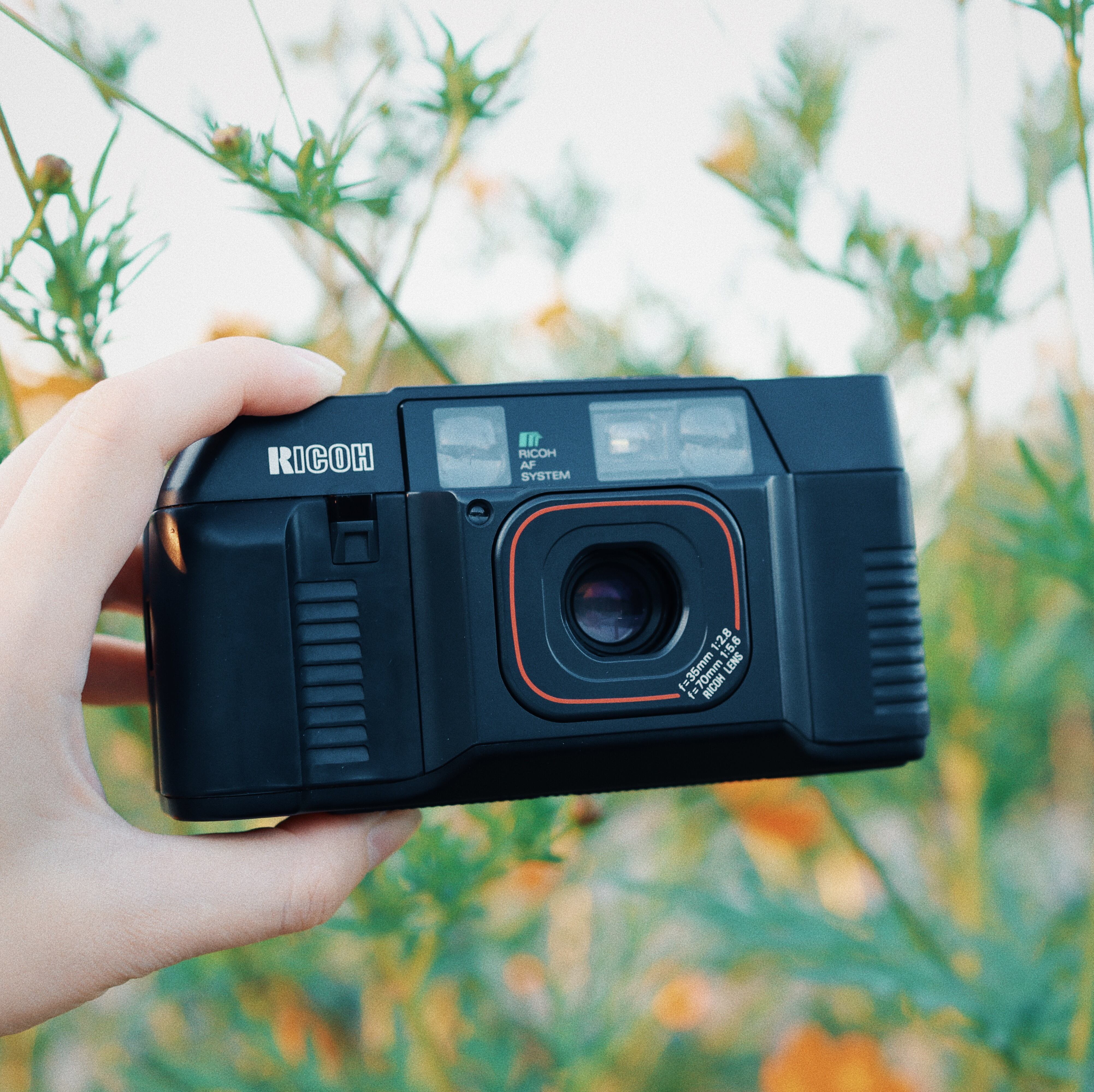 本物品質の フィルムカメラ Tf 500d Ricoh フィルムカメラ