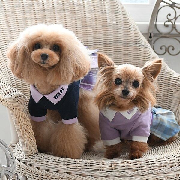 ☆アナスイ☆ワンピース☆ 2024春夏新作 ANNA SUI アナ スイ スクールガールワンピース 送料無料