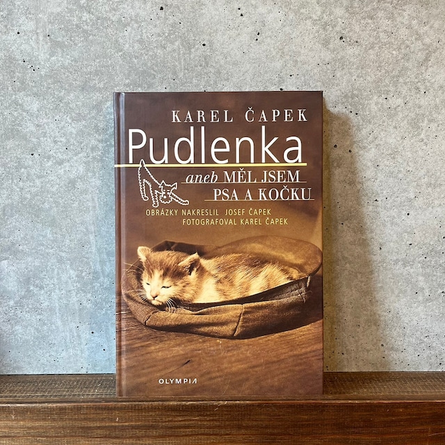 PUDLENKA