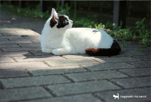 post card 073