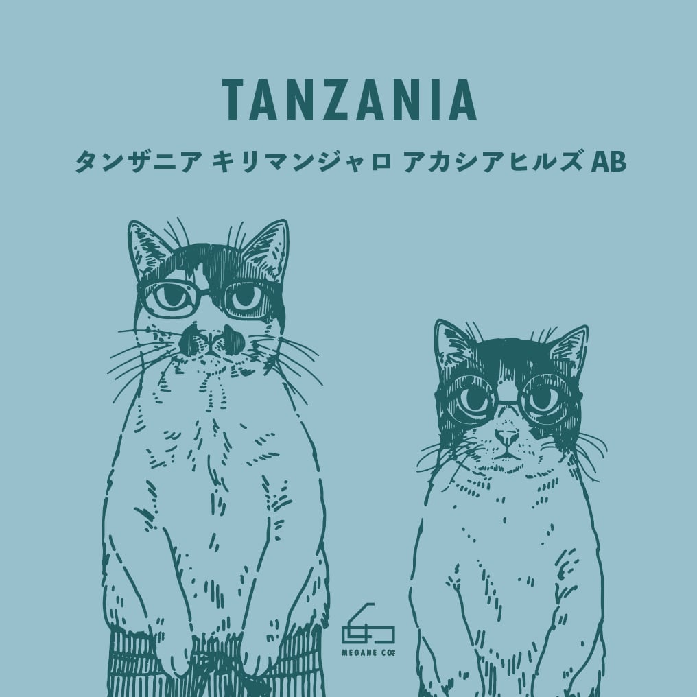 珈琲豆】タンザニア キリマンジャロ アカシアヒルズAB（200g