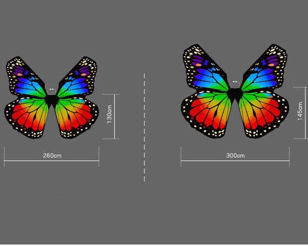 ベリーダンス衣装蝶々のイシスウィングBQW004 | Belly Treasure®︎