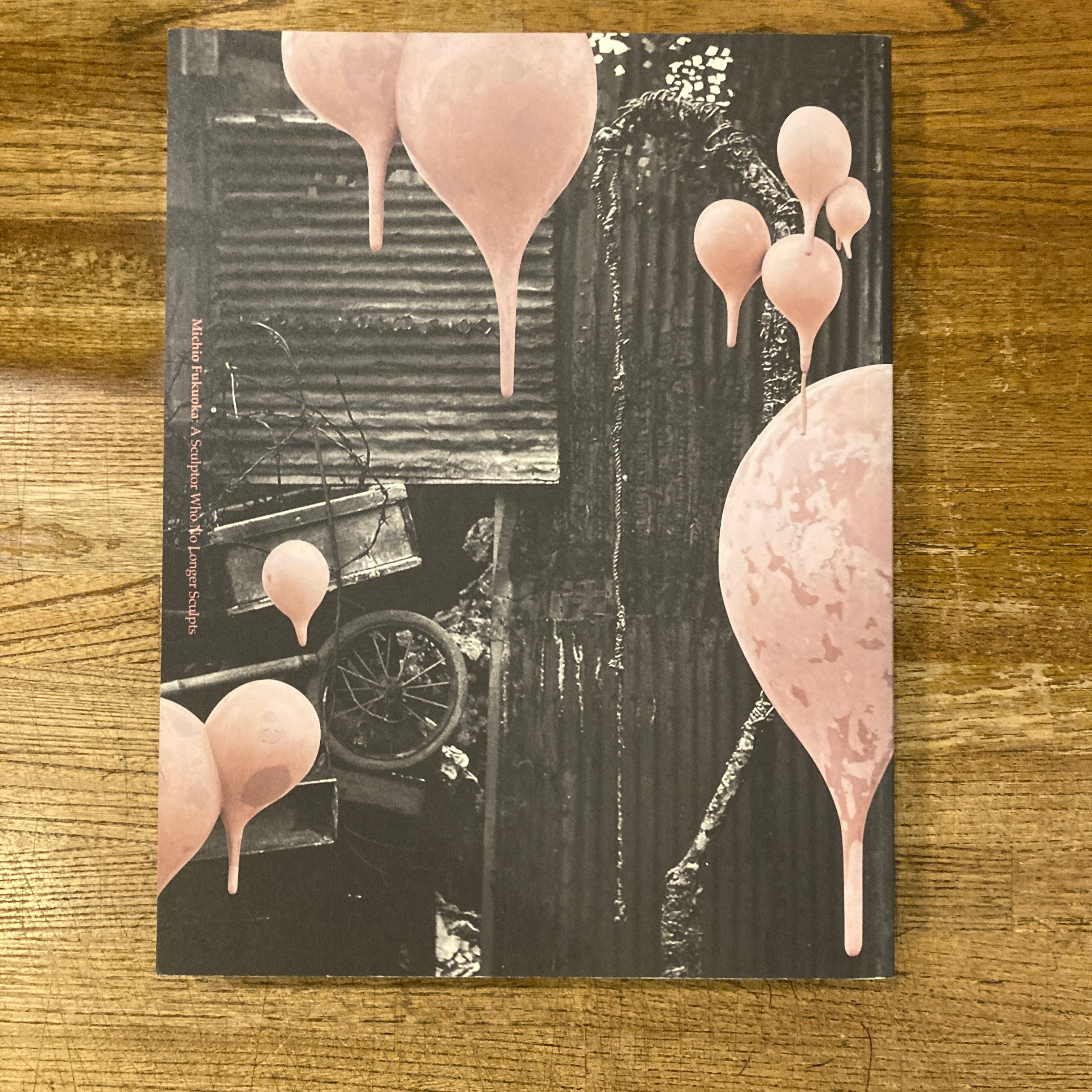 COLOR PHOTOGRAPHS / 横田大輔 Daisuke Yokota | 百年