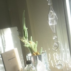 Undine 03 - Lemurian seed crystal / ジェムピラー / Gem Pillar Interior Jewelry