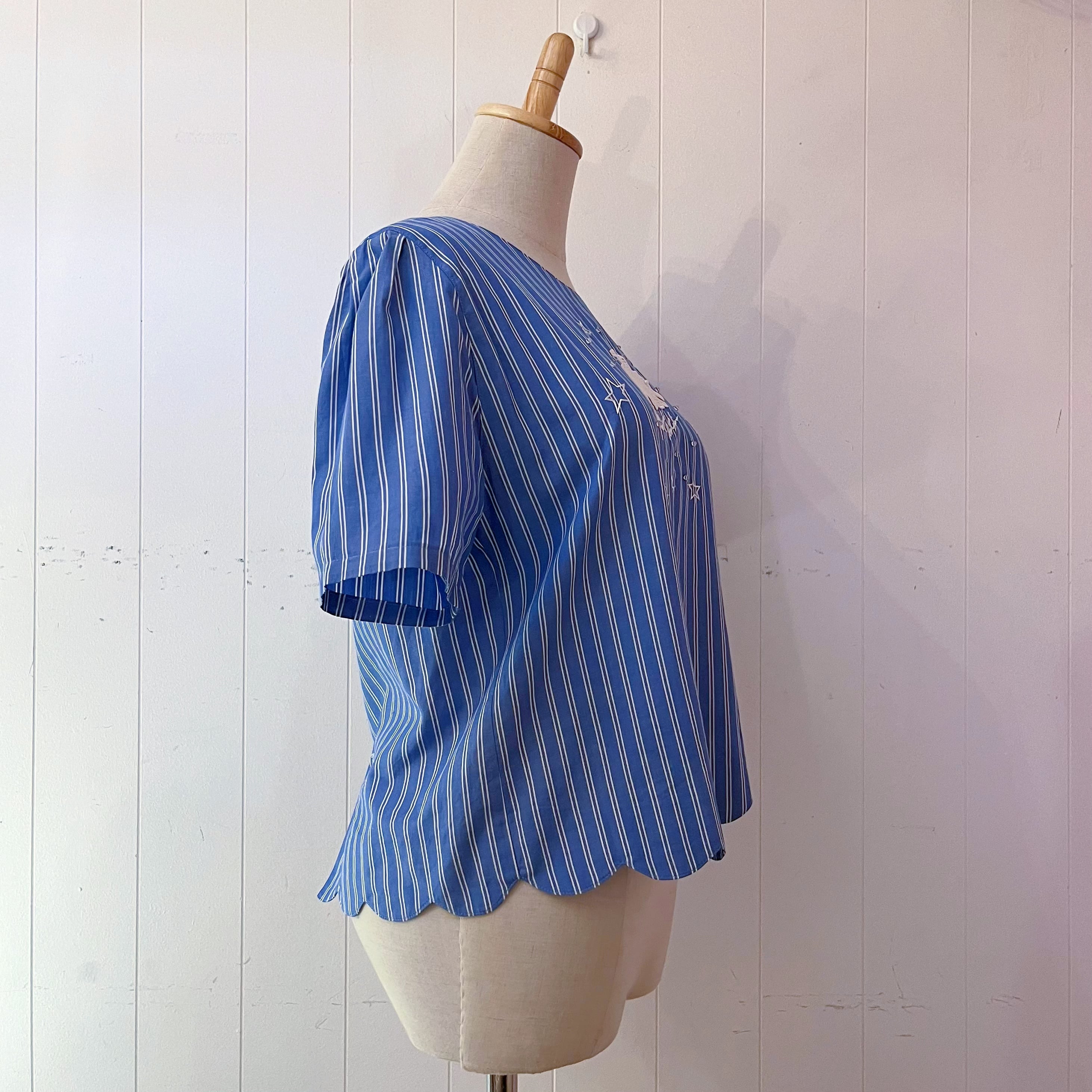 dolphin blue stripe blouse